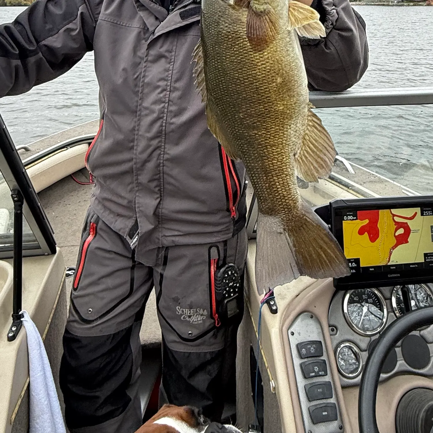 Smallmouth bass caught on Fishbrain