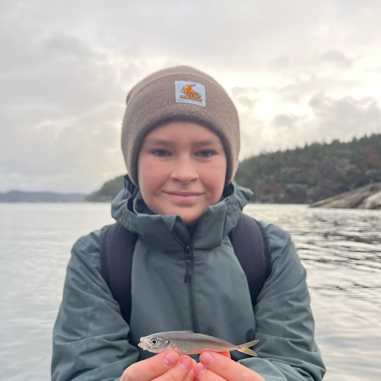 The most recent Atlantic horse mackerel catches on Fishbrain