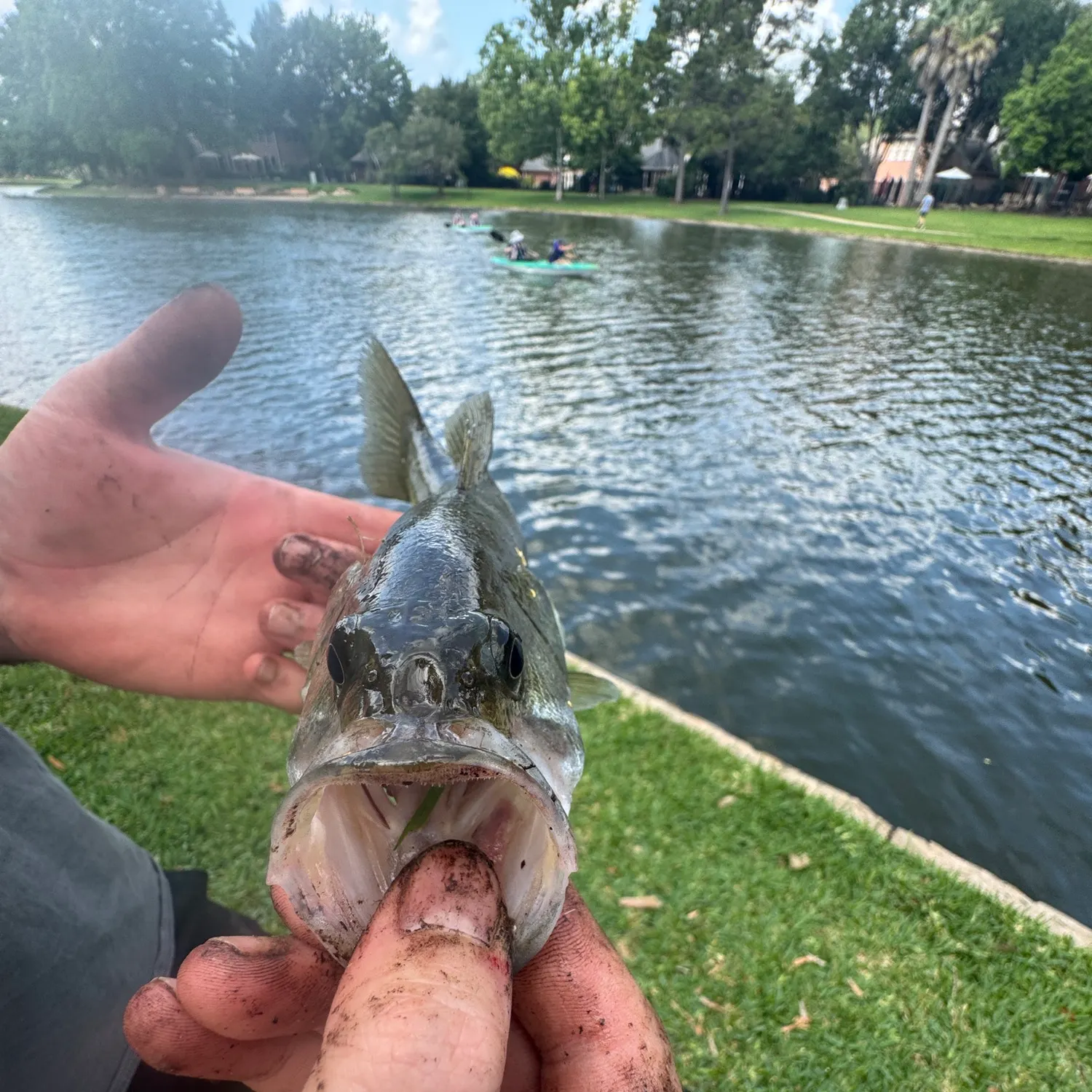 catch