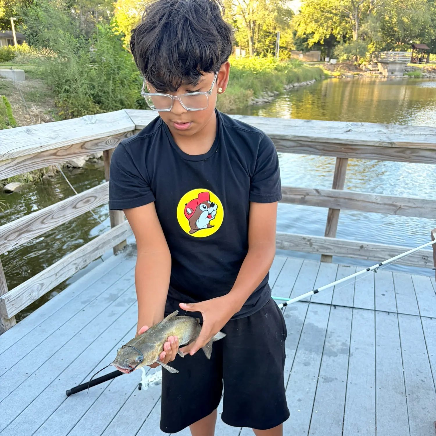 Channel catfish caught on Fishbrain