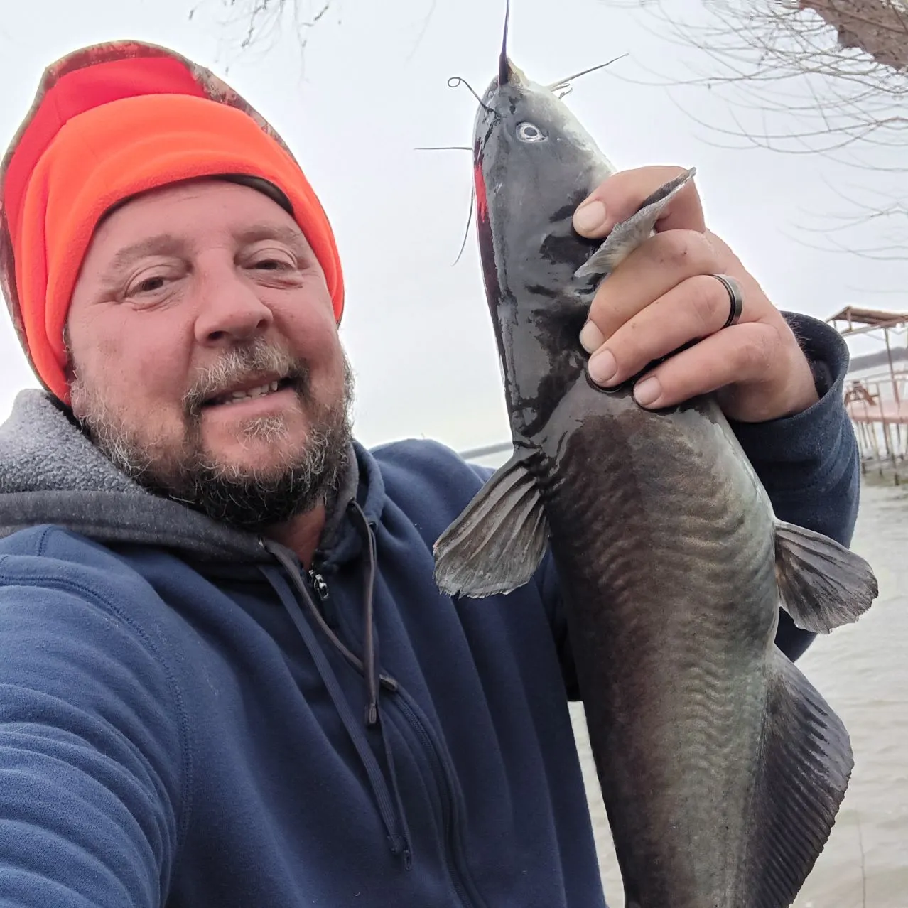The most recent Blue catfish catches on Fishbrain