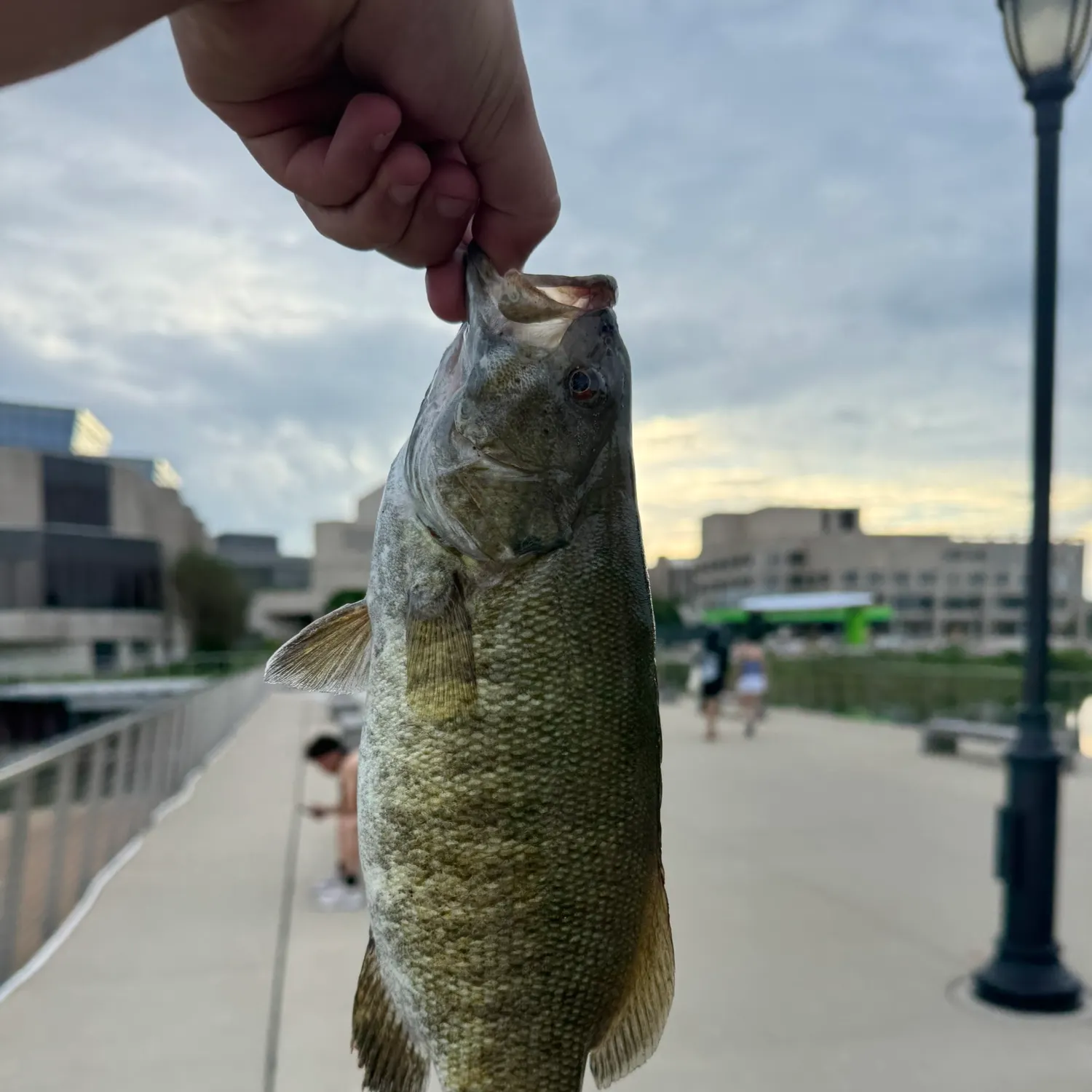 catch