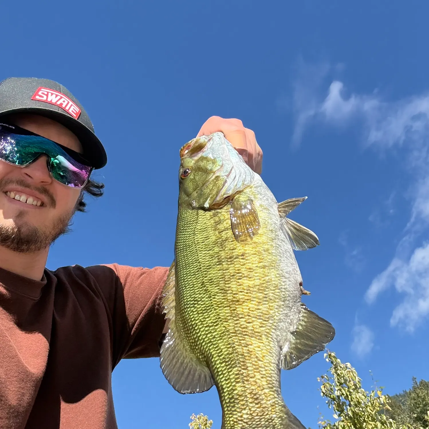Smallmouth bass caught on Fishbrain