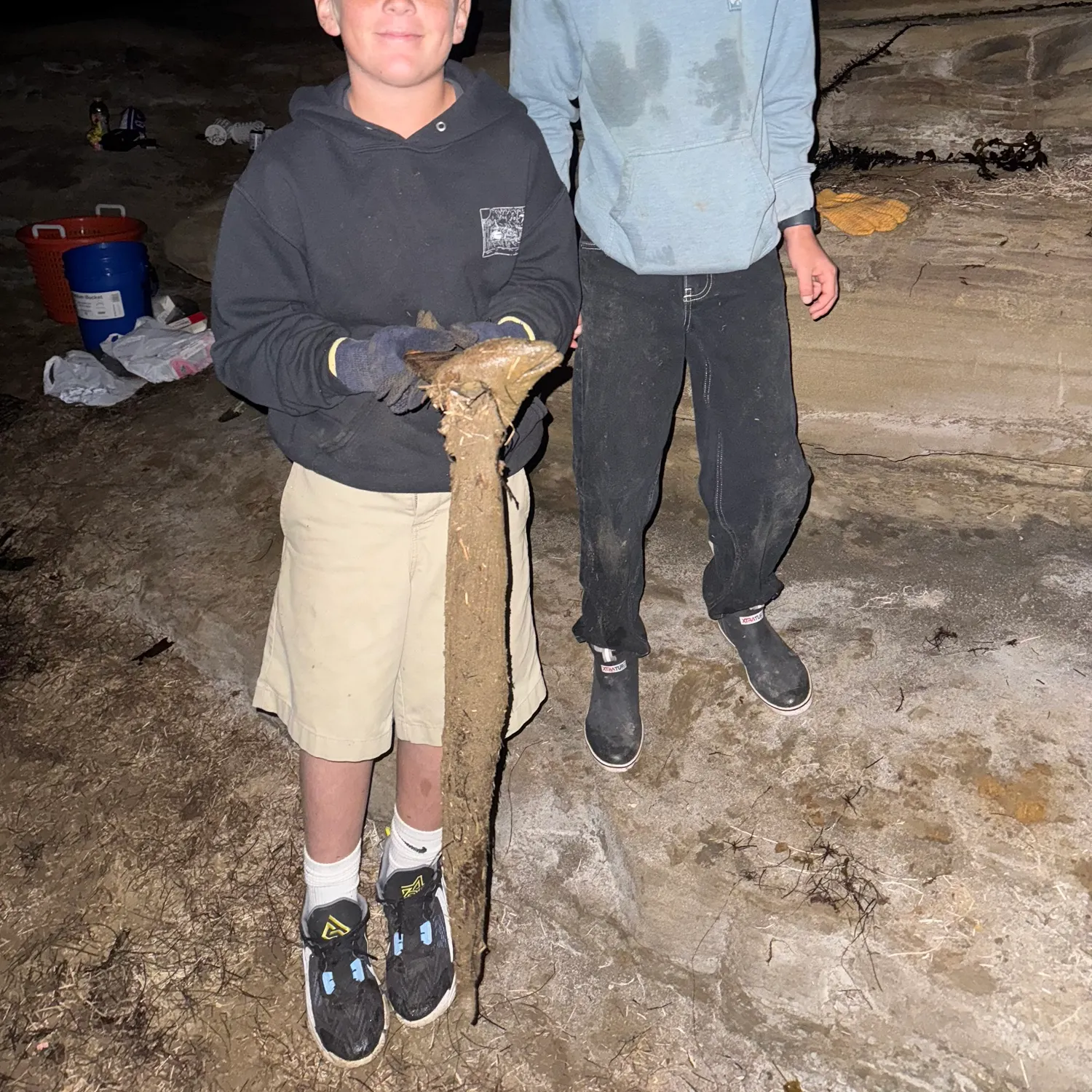 The most recent California moray catches on Fishbrain