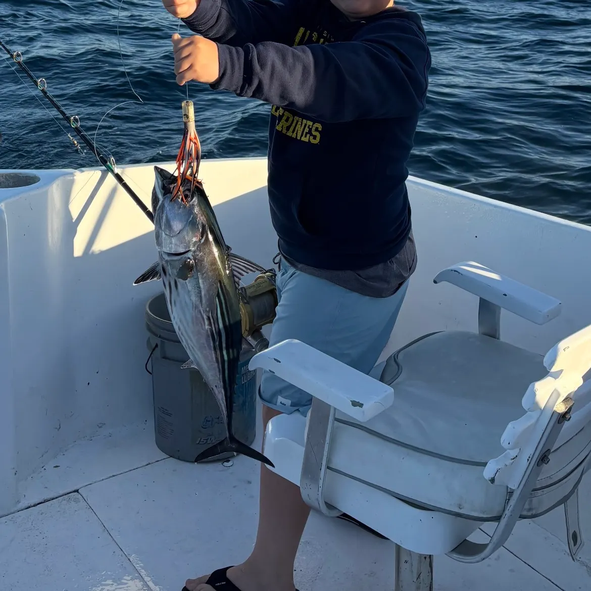 The most recent Skipjack tuna catches on Fishbrain