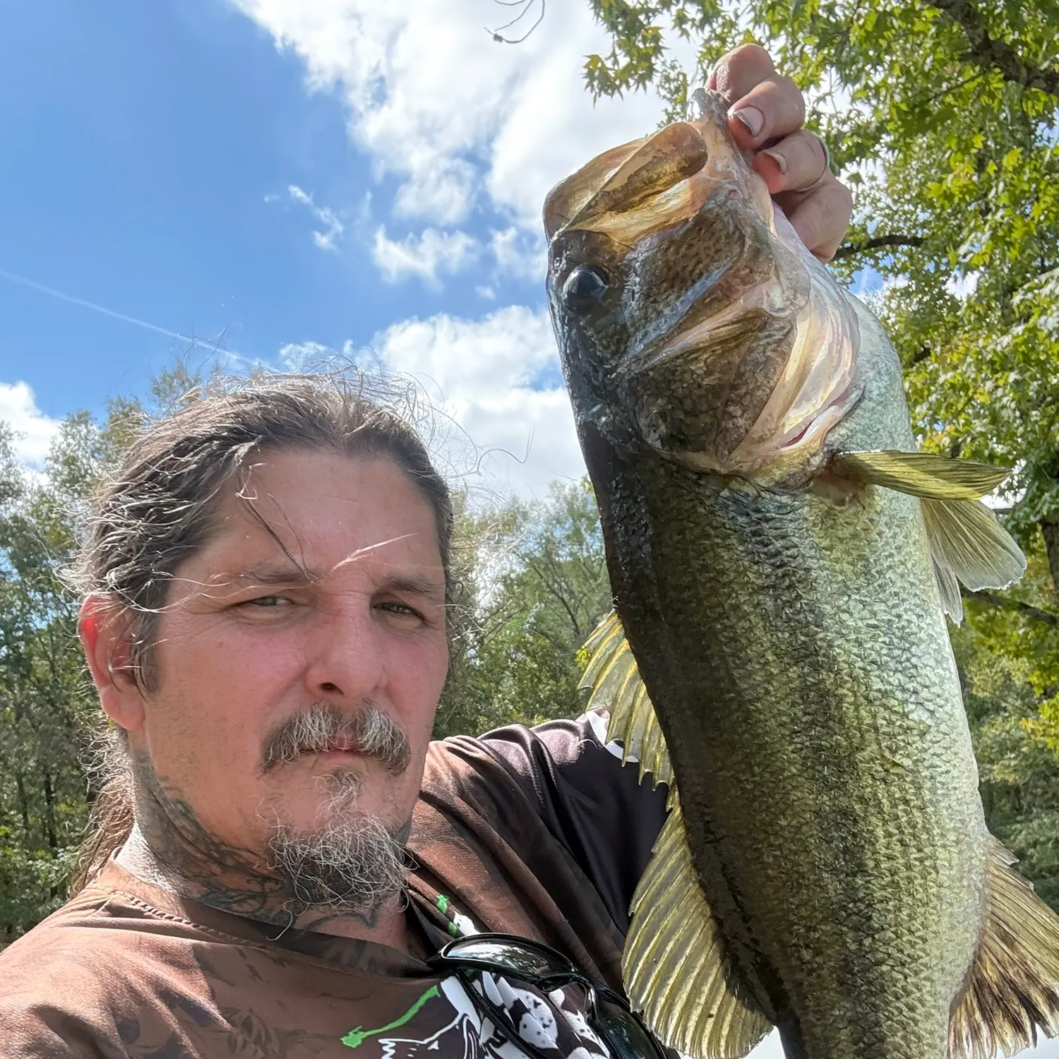Largemouth bass caught on Fishbrain