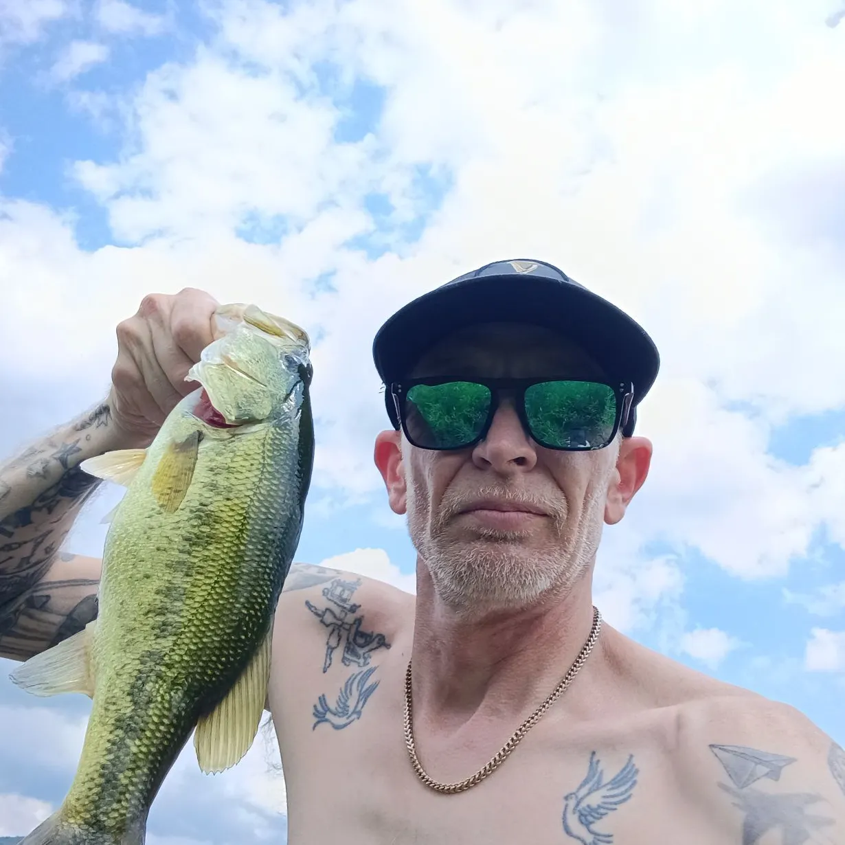 Largemouth bass caught on Fishbrain