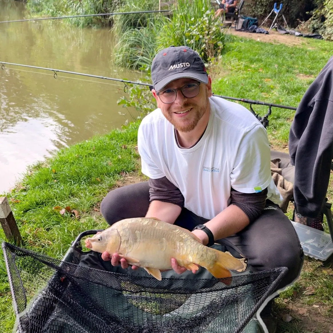 Mirror carp caught on Fishbrain