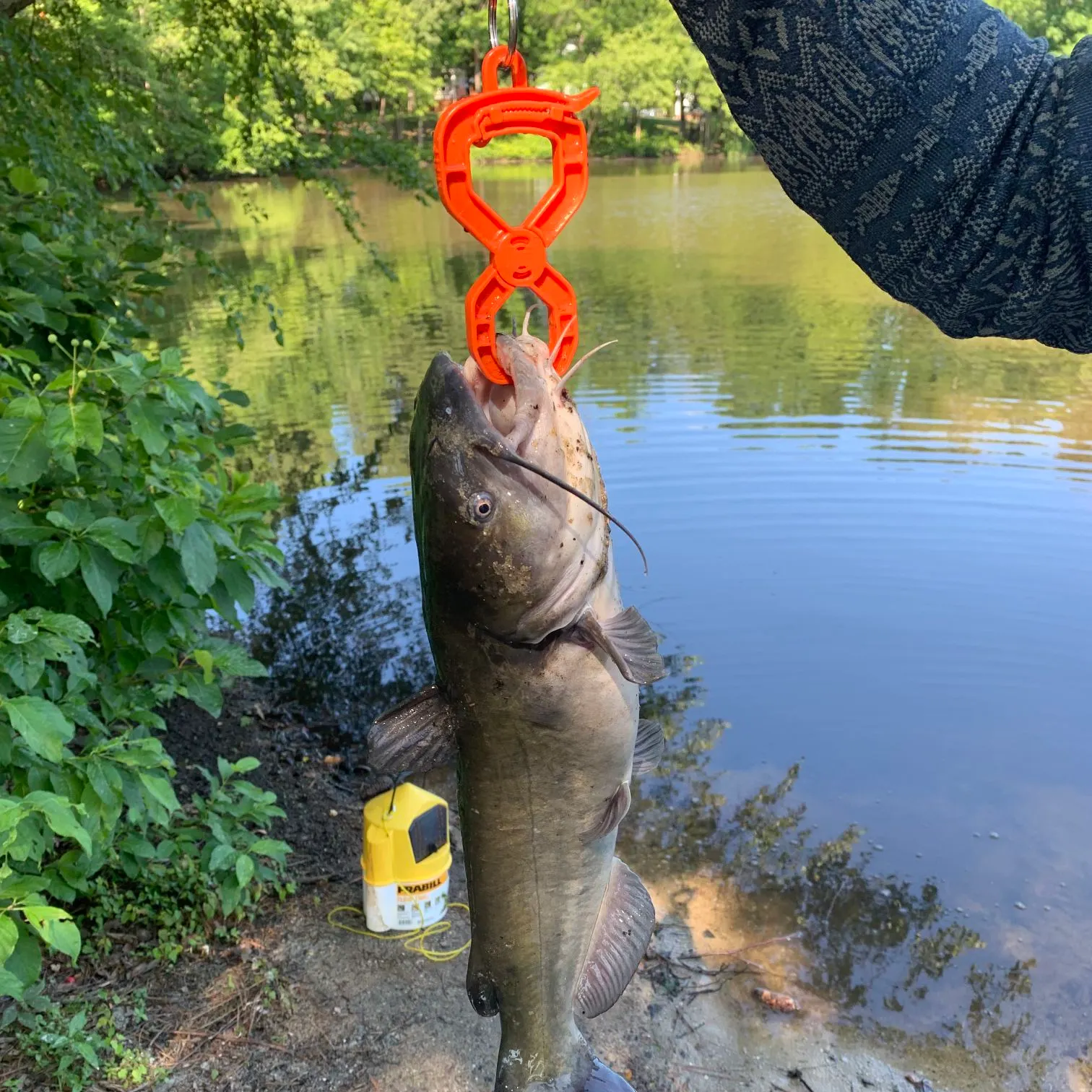 catch