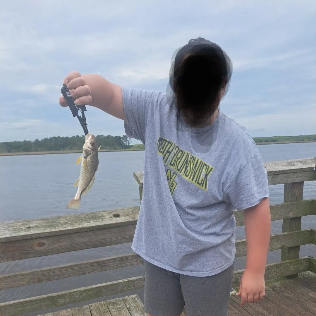 Atlantic croaker caught on Fishbrain