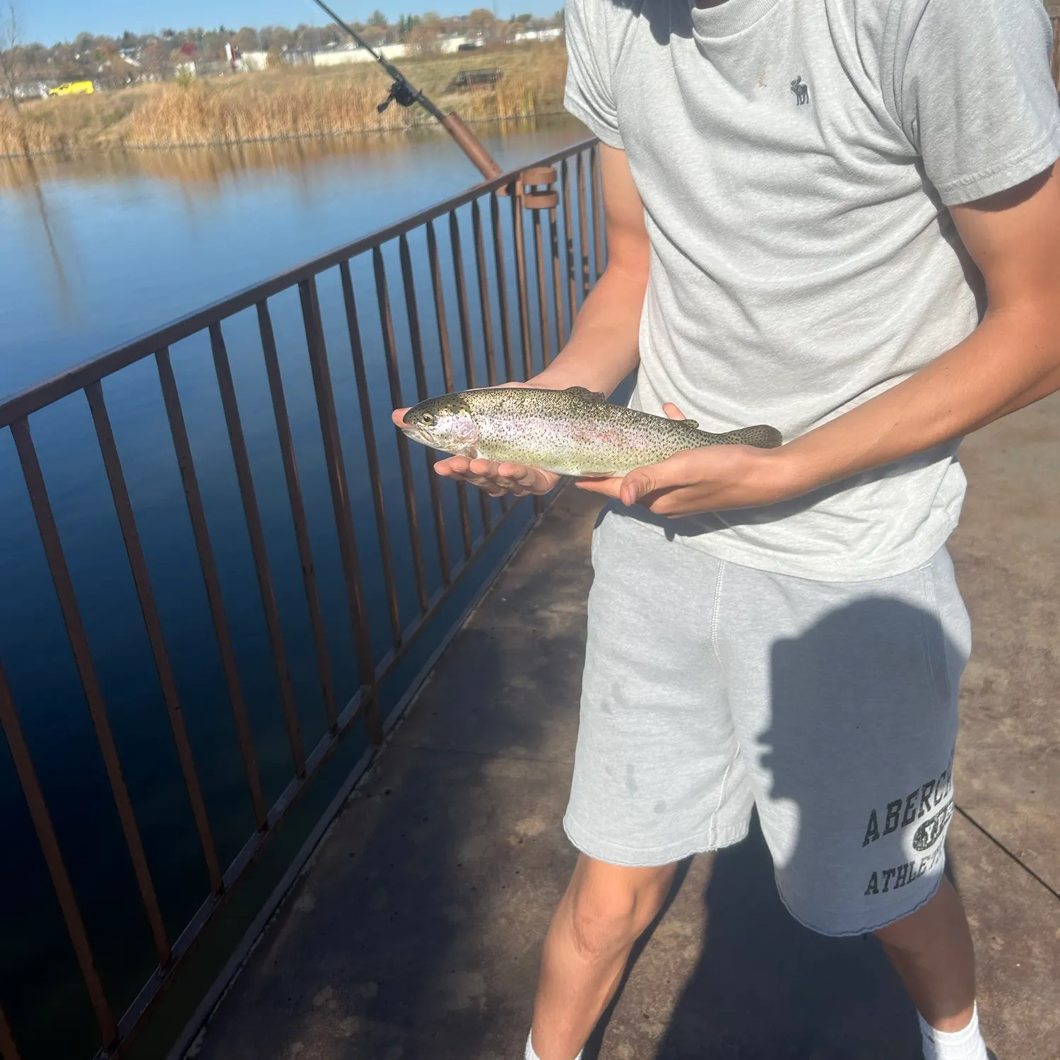 Rainbow trout caught on Fishbrain