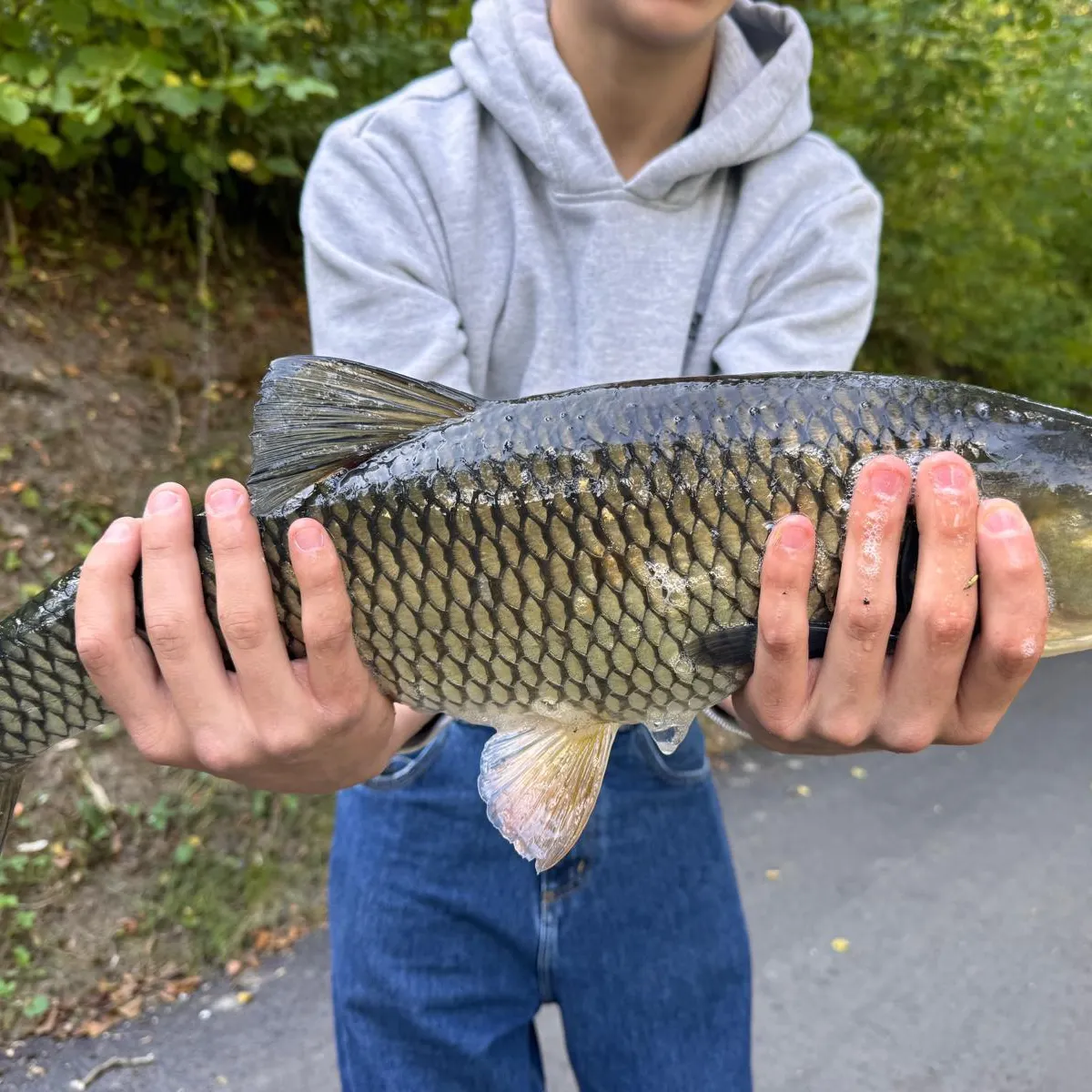 European chub caught on Fishbrain