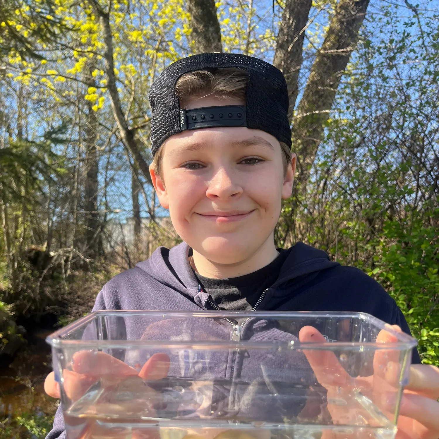 The most recent European brook lamprey catches on Fishbrain
