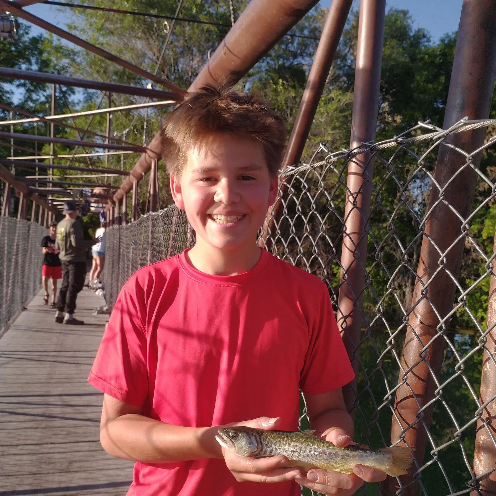 The most recent Tiger trout catches on Fishbrain