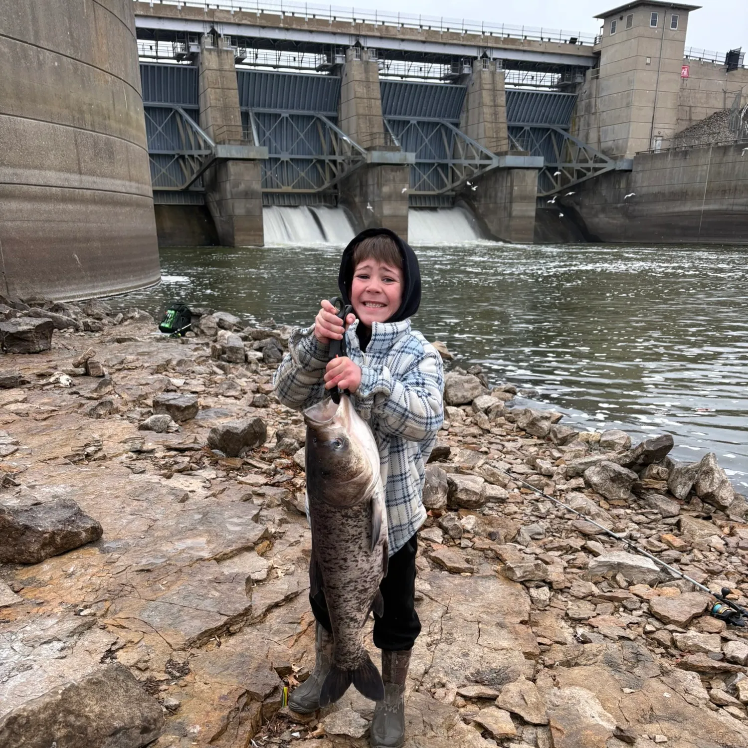 The most recent Bighead carp catches on Fishbrain