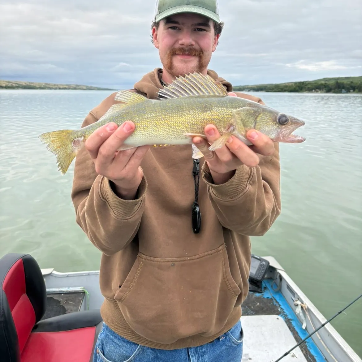 Walleye caught on Fishbrain