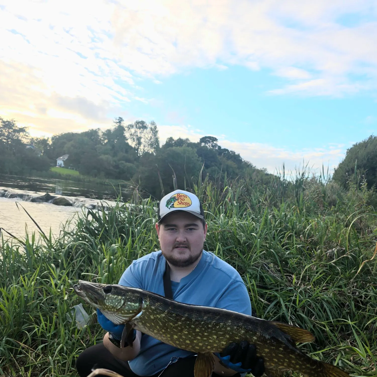 Northern pike caught on Fishbrain