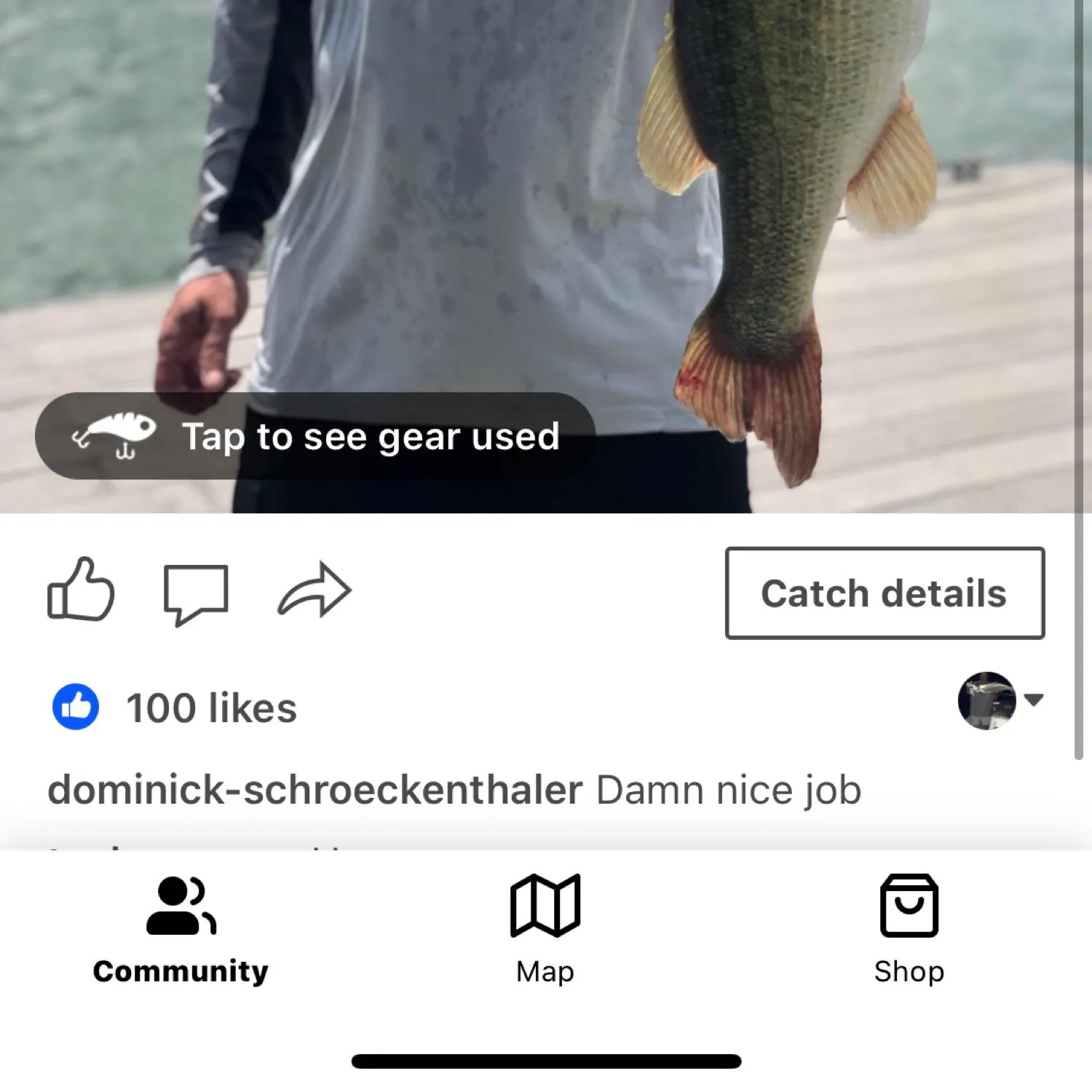 recently logged catches