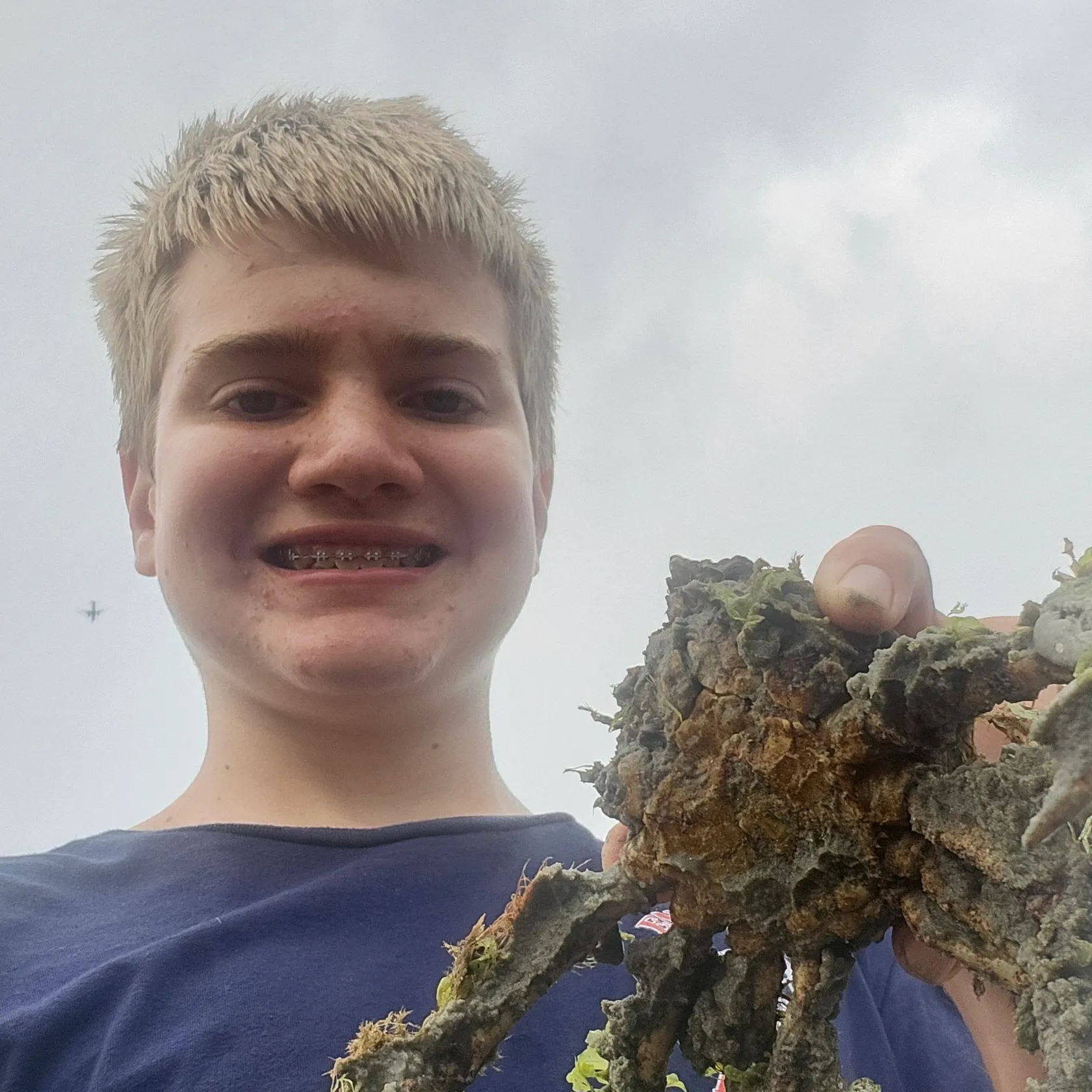 The most recent European spider crab catches on Fishbrain