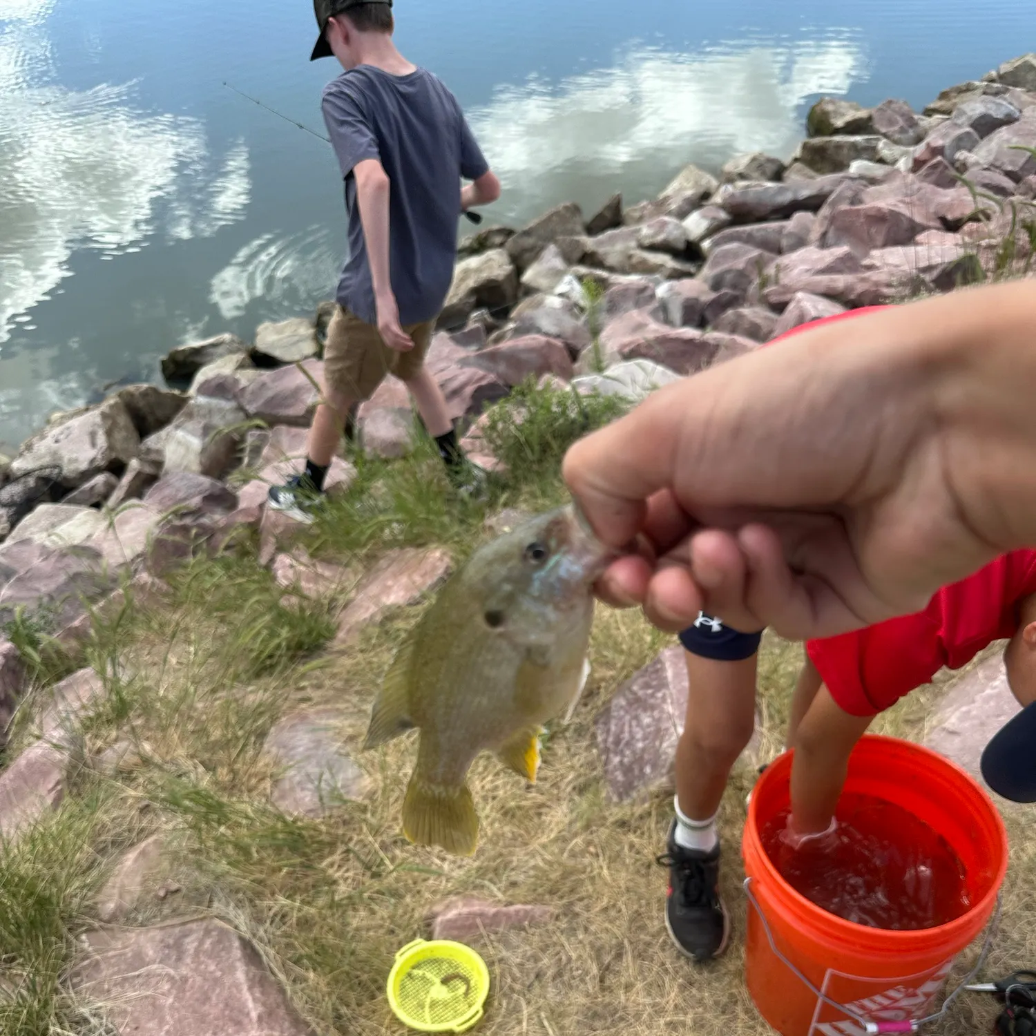catch