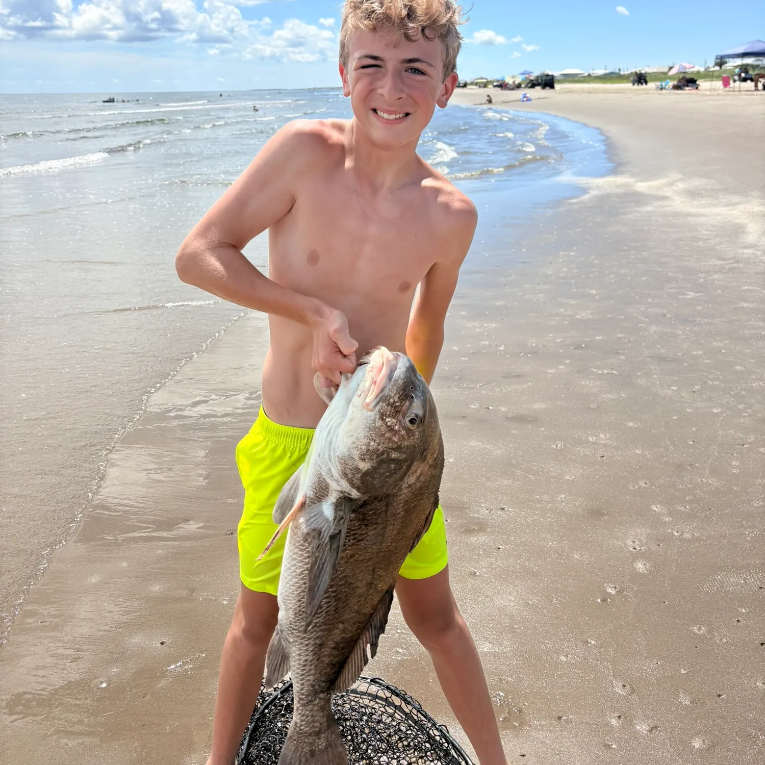 Black drum caught on Fishbrain