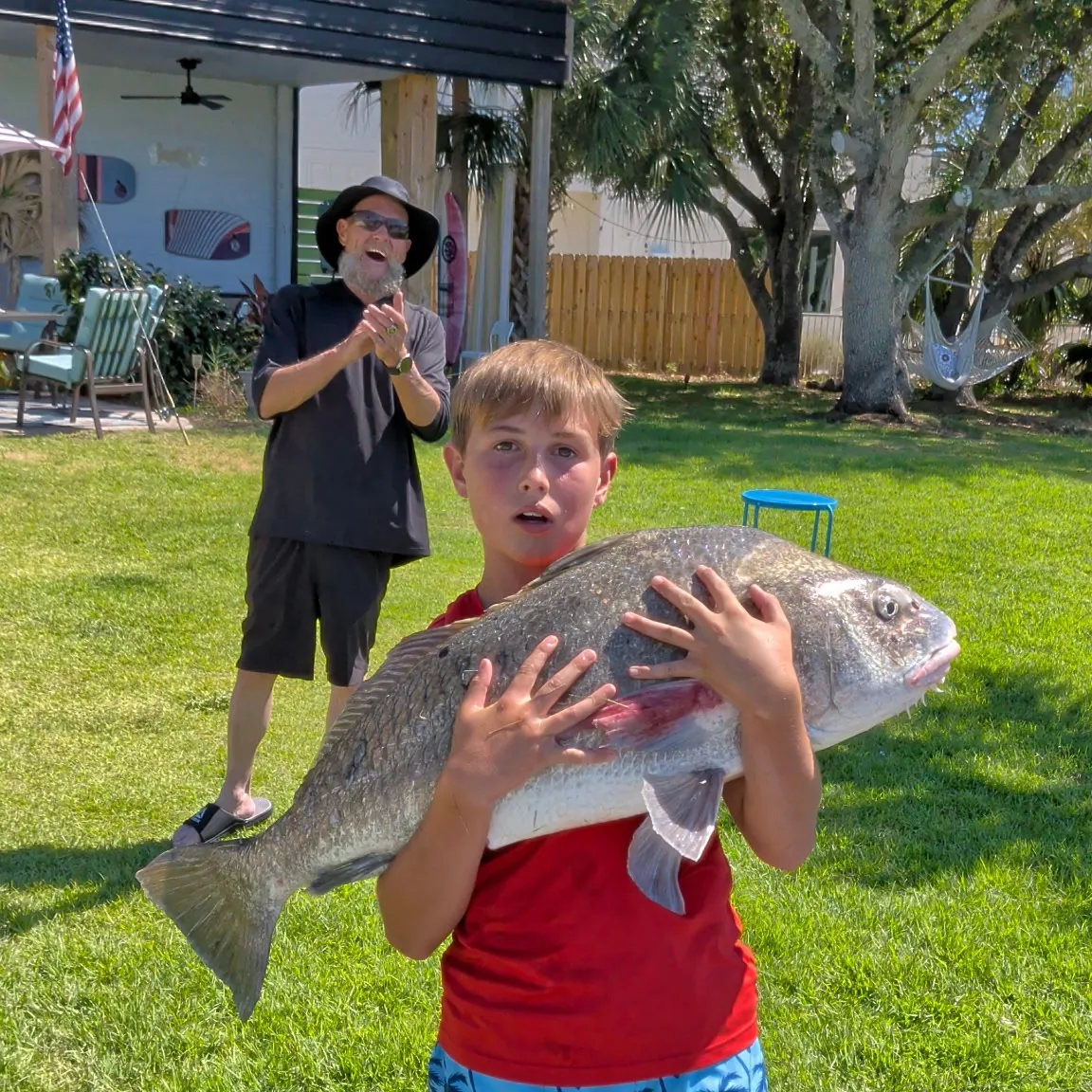 Black drum caught on Fishbrain