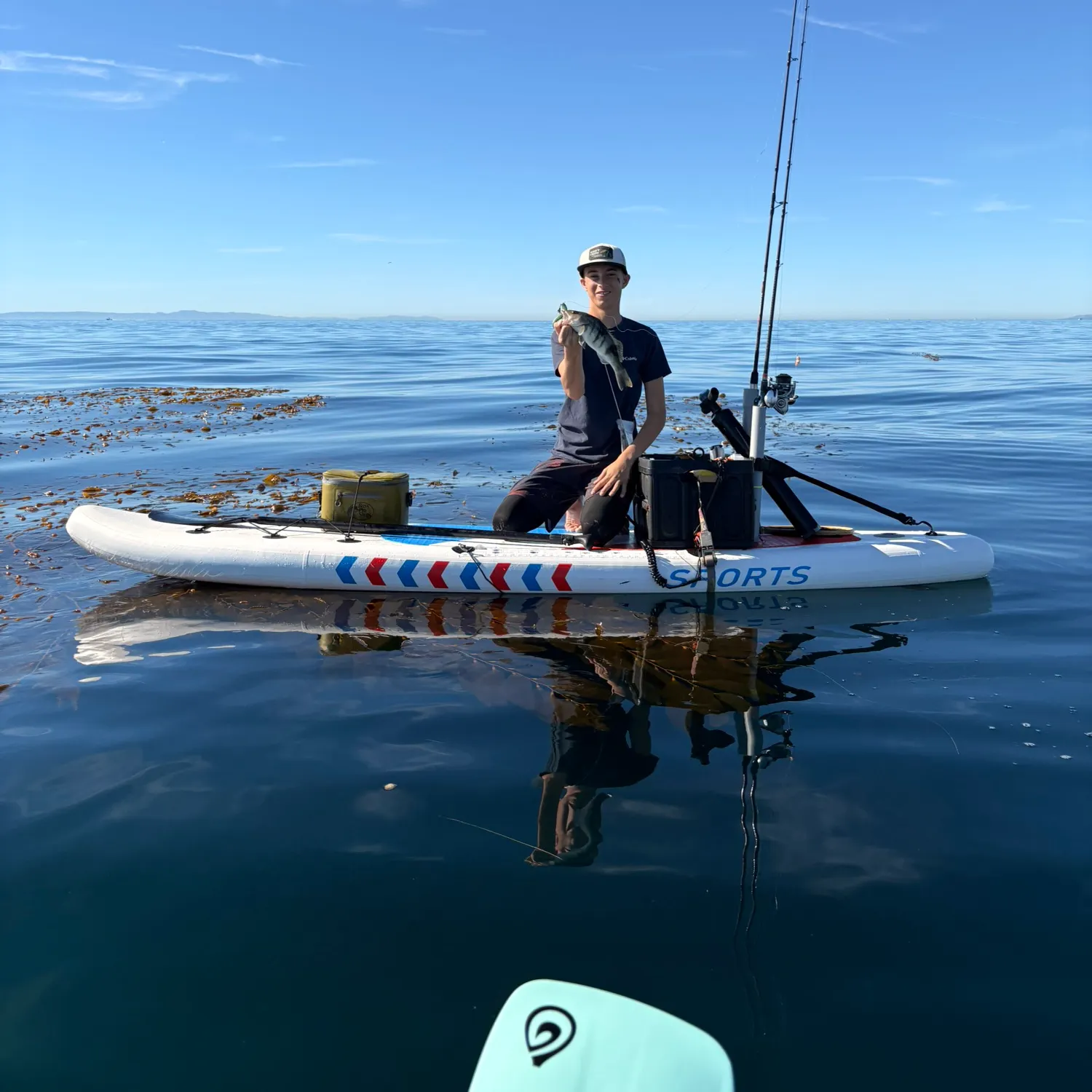 The most recent Barred sand bass catches on Fishbrain