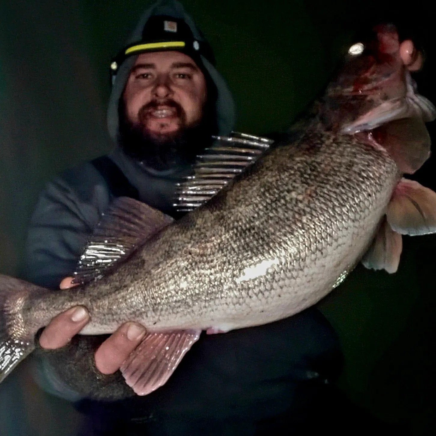 The most recent Walleye catches on Fishbrain