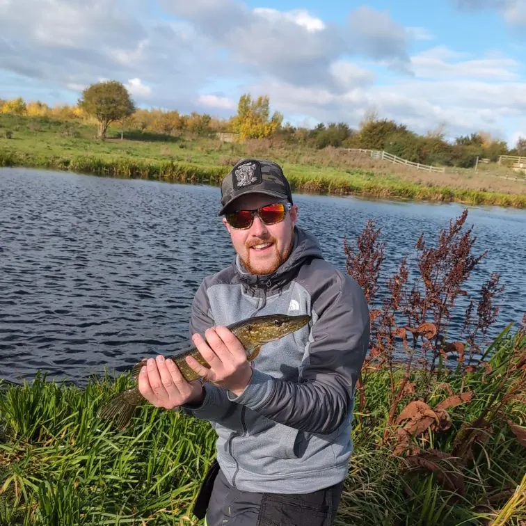 Northern pike caught on Fishbrain