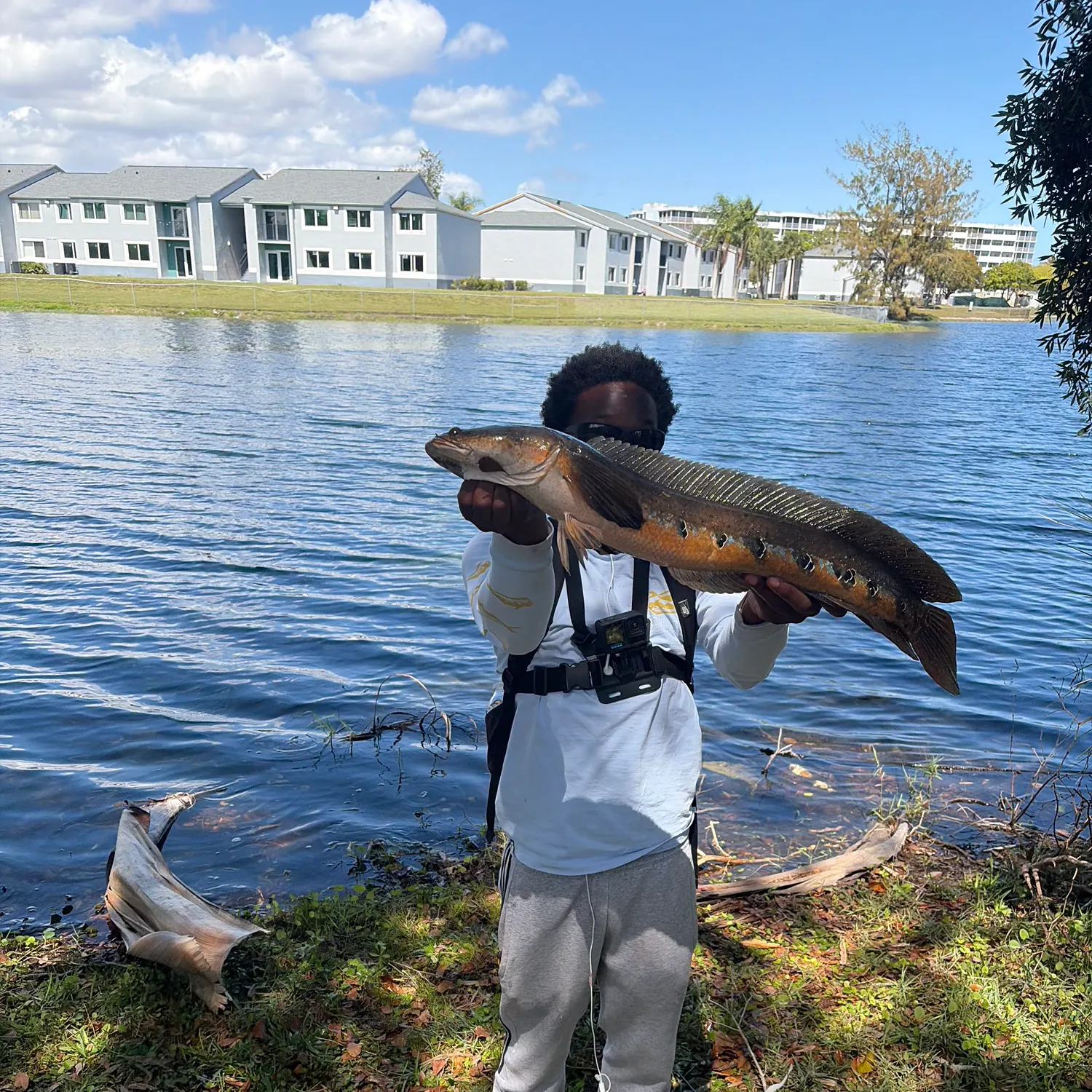 The most recent Bullseye snakehead catches on Fishbrain