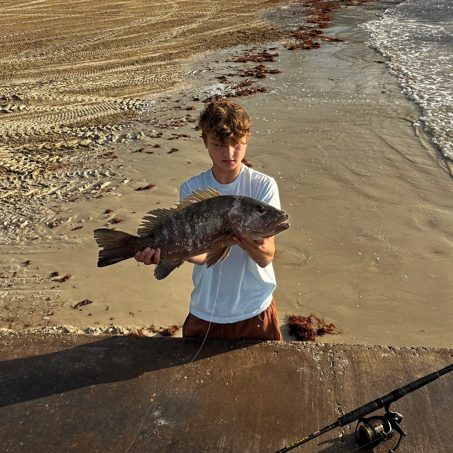 The most recent Cubera snapper catches on Fishbrain