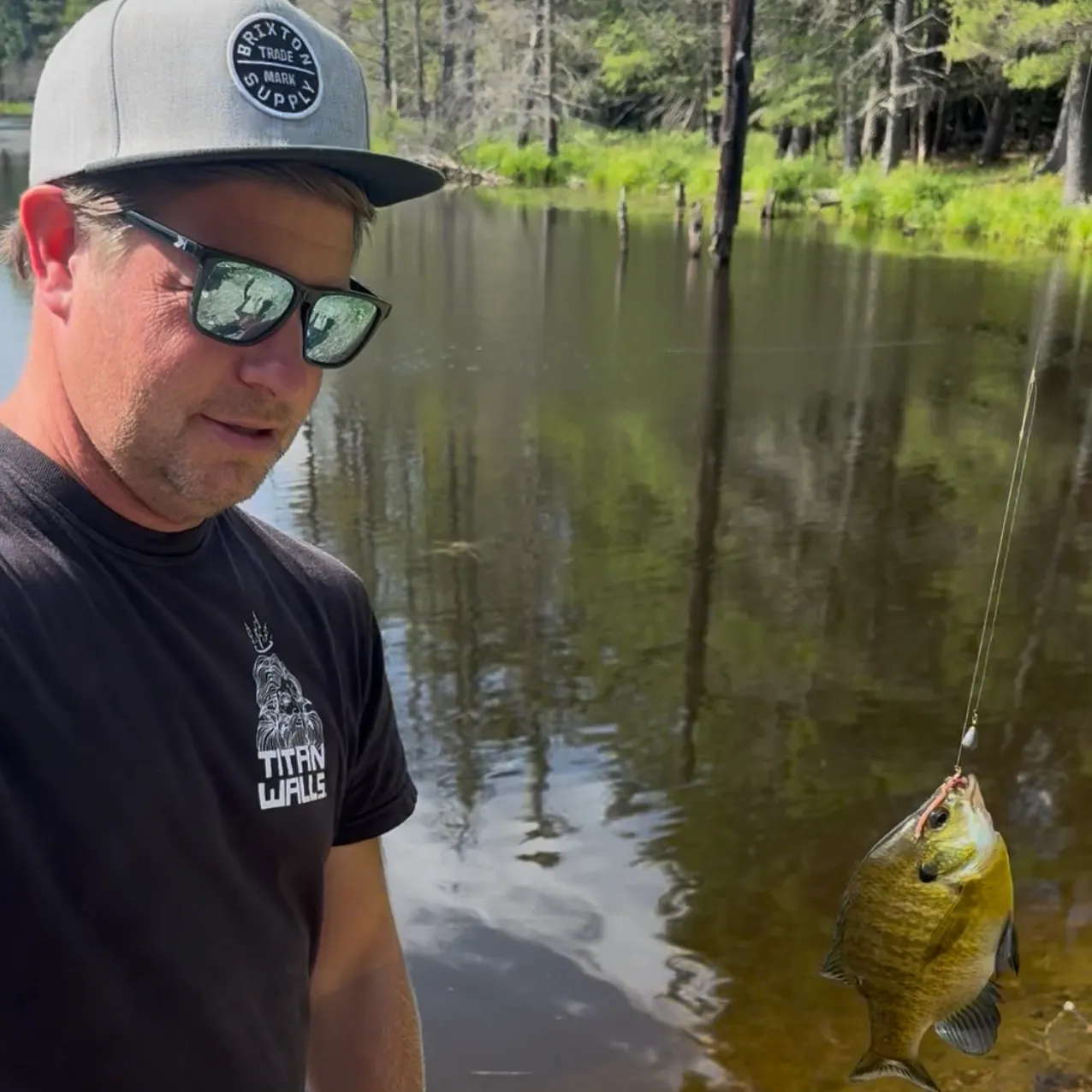 Bluegill caught on Fishbrain