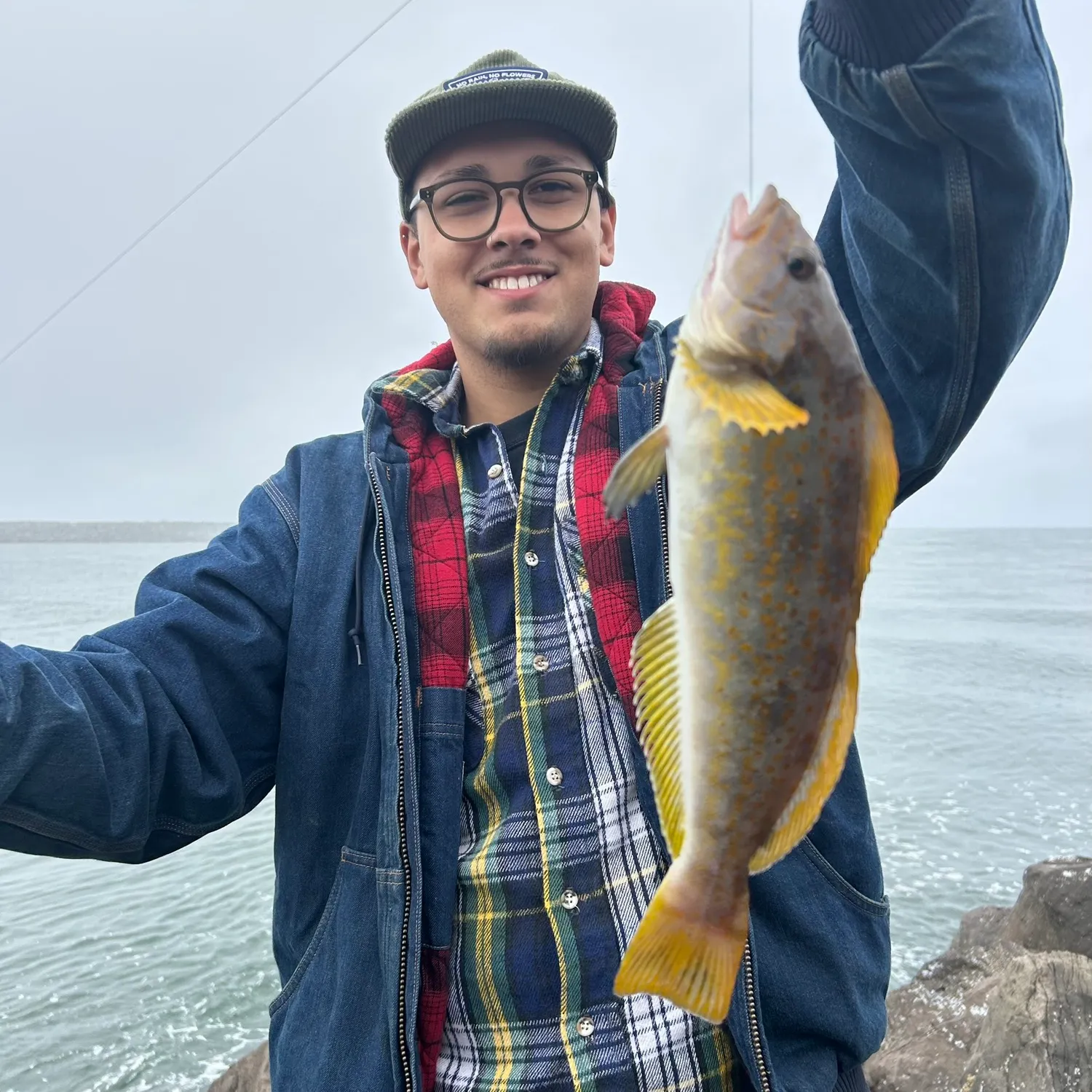The most recent Kelp greenling catches on Fishbrain