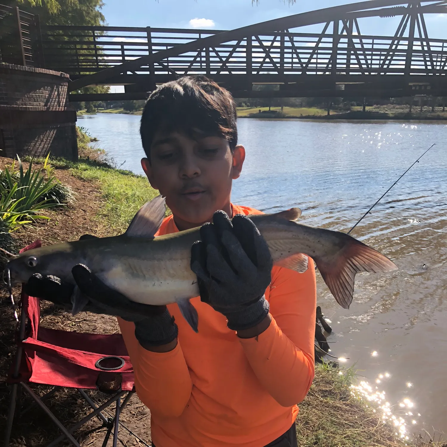 The most recent Channel catfish catches on Fishbrain