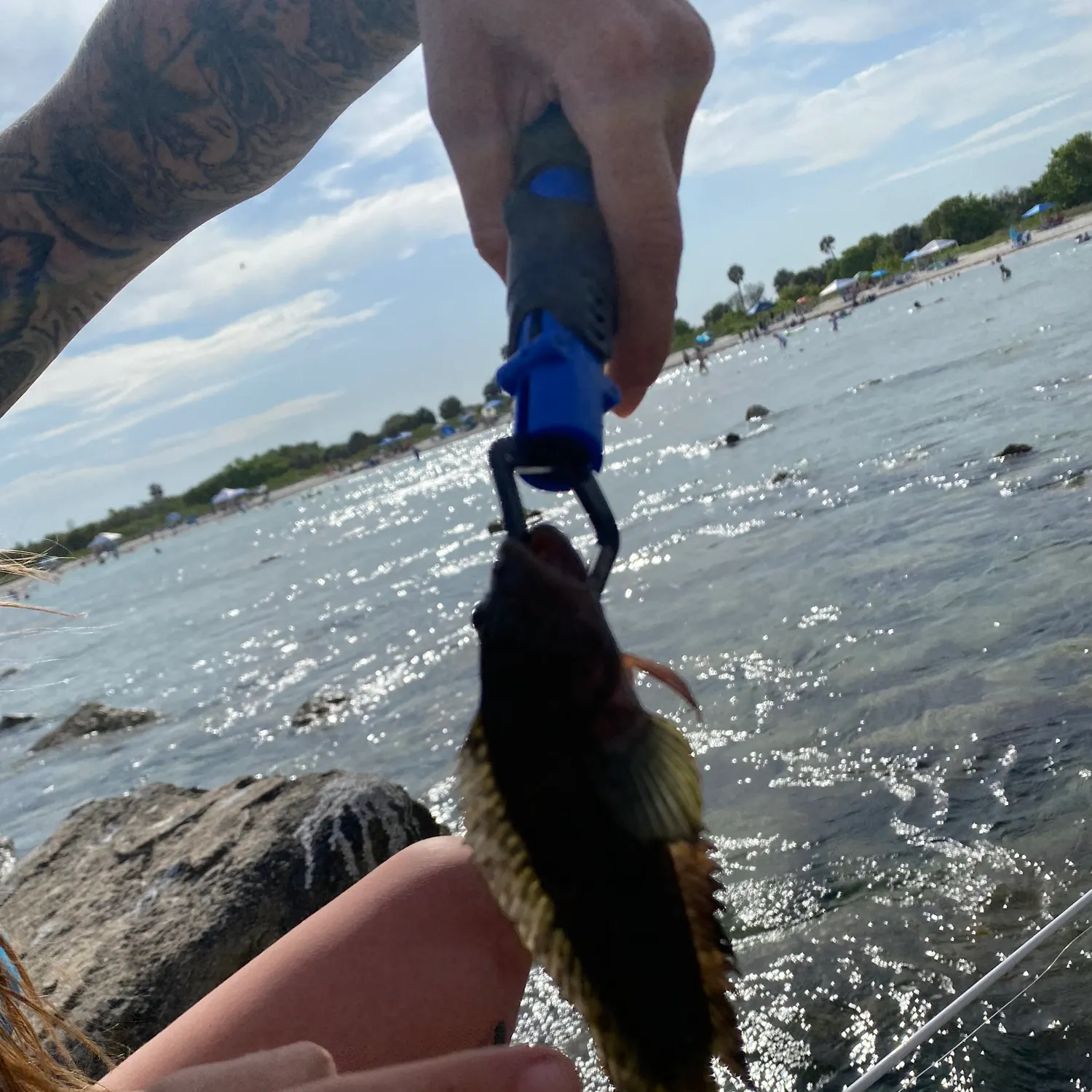most liked catch image