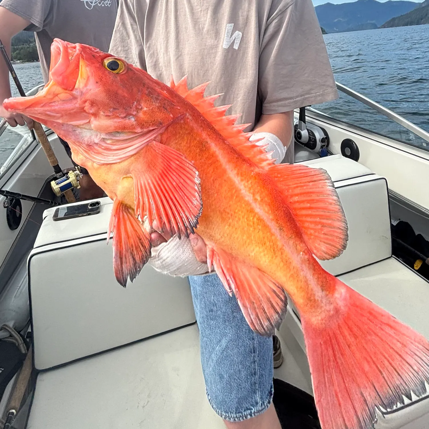 The most recent Yelloweye rockfish catches on Fishbrain