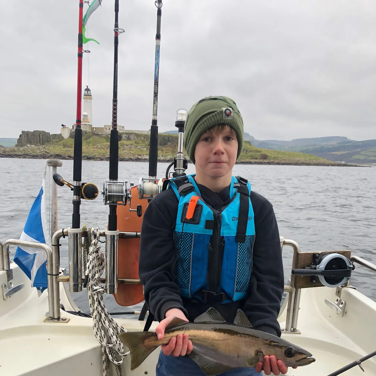 The most recent Pollack catches on Fishbrain