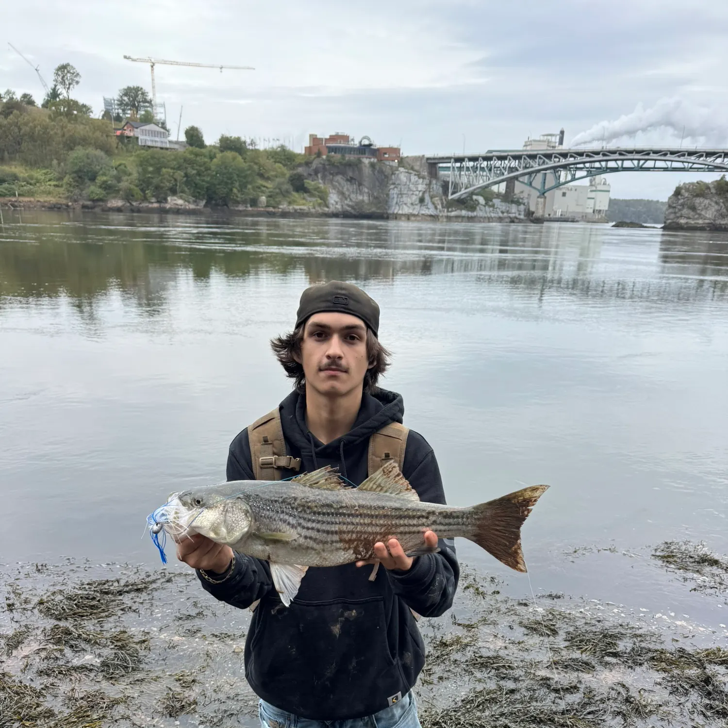Striped bass caught on Fishbrain
