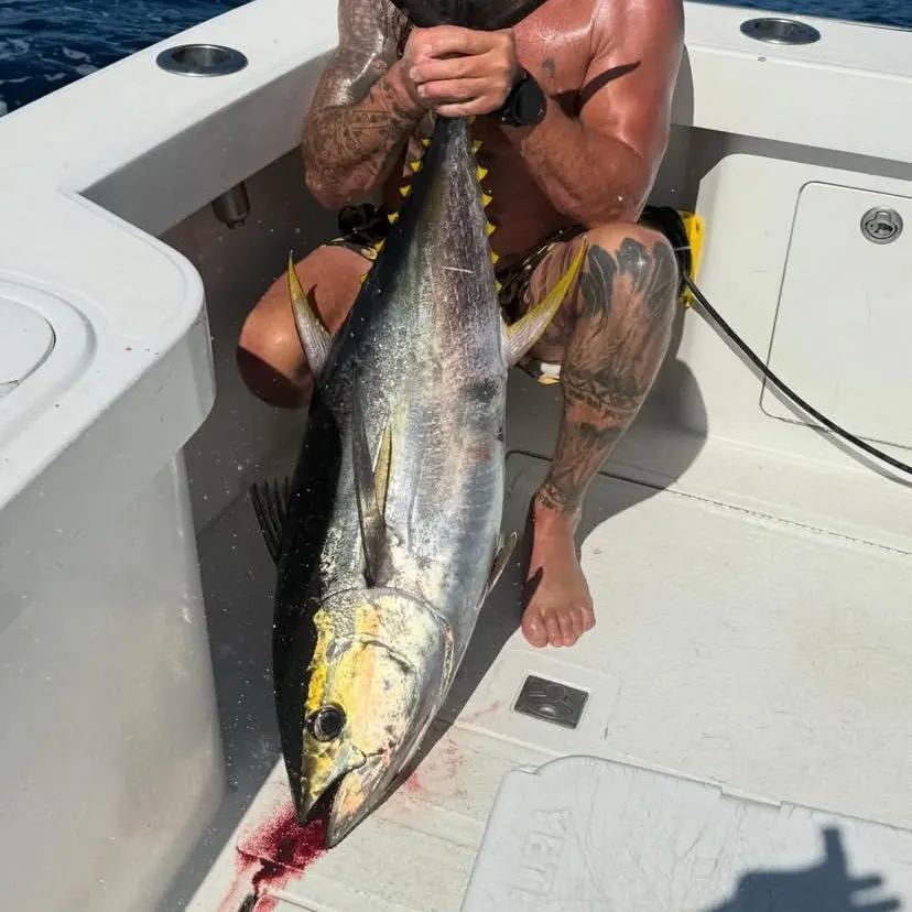 The most recent Atlantic bluefin tuna catches on Fishbrain
