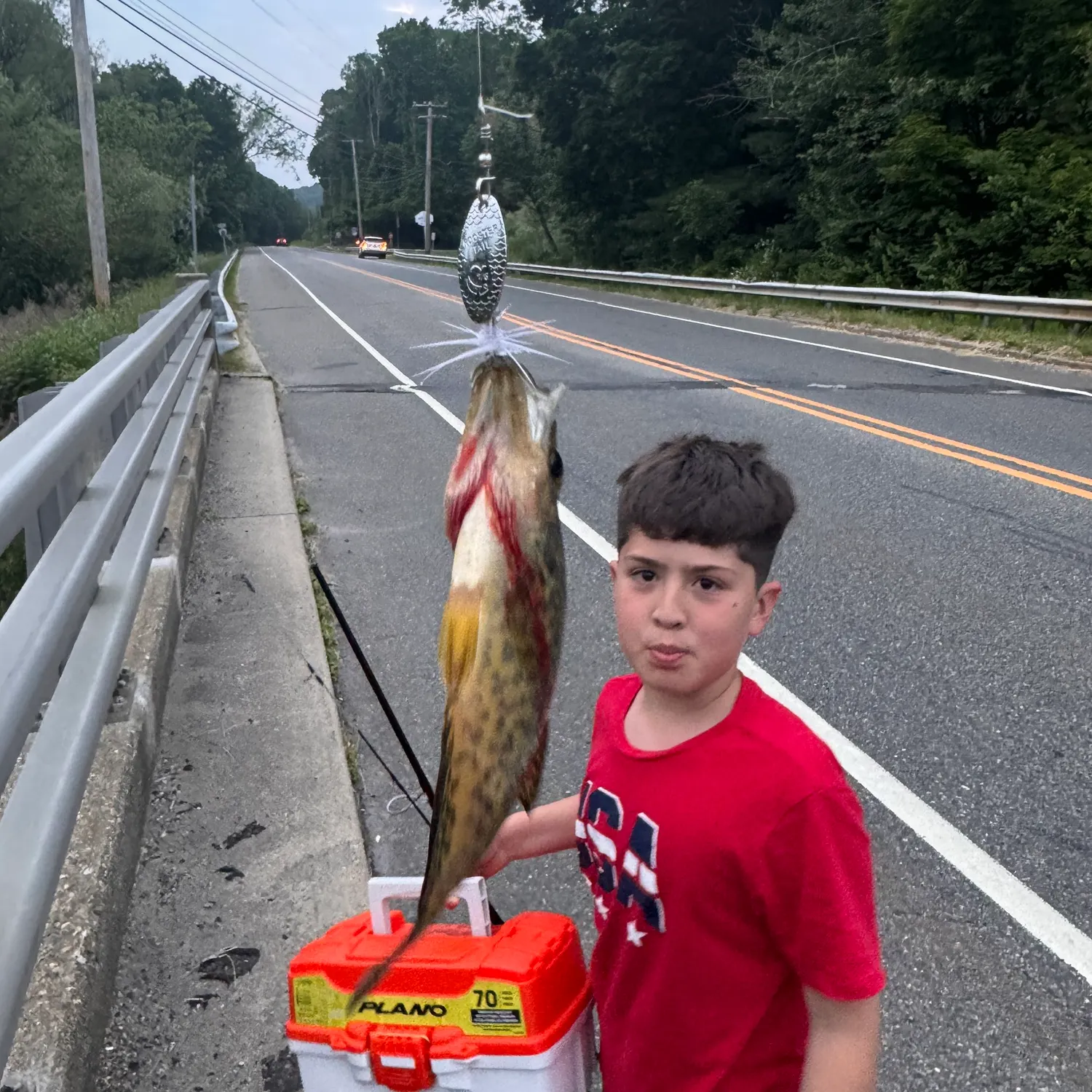 recently logged catches