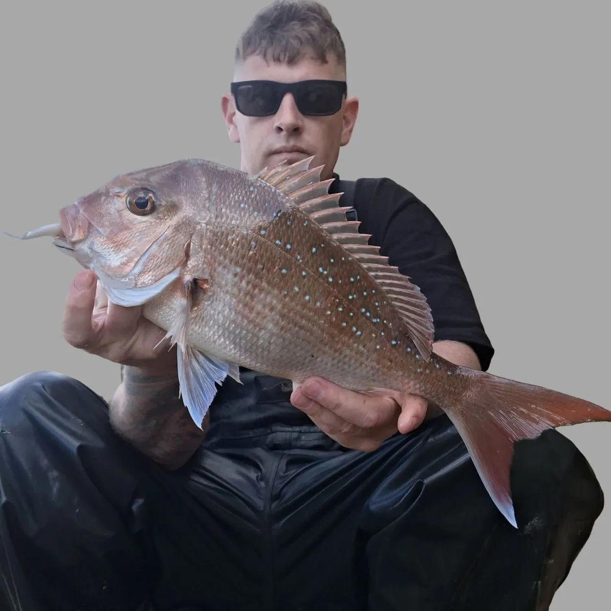 Australasian snapper caught on Fishbrain