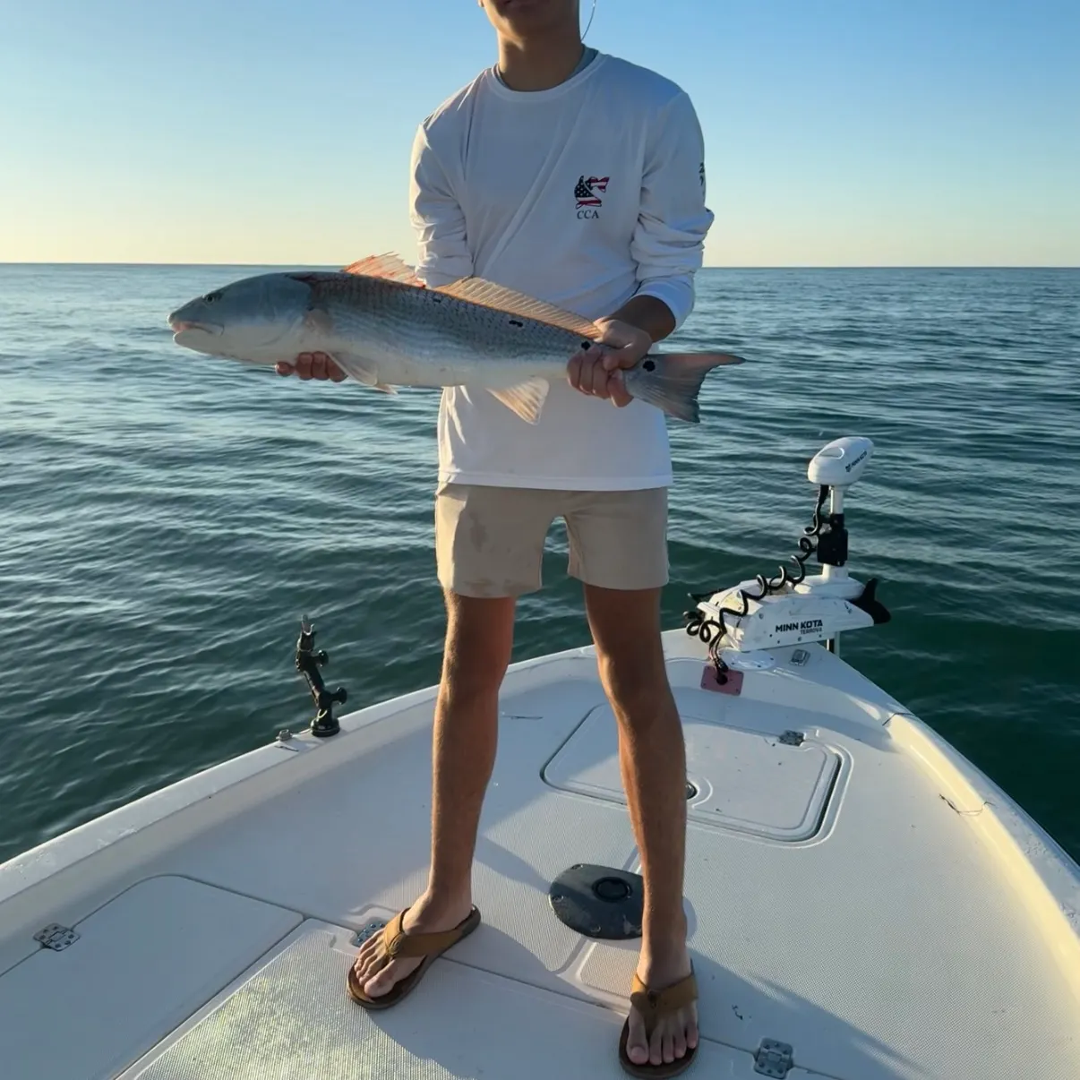 Red drum caught on Fishbrain