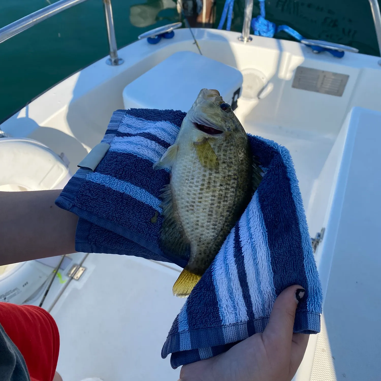catch