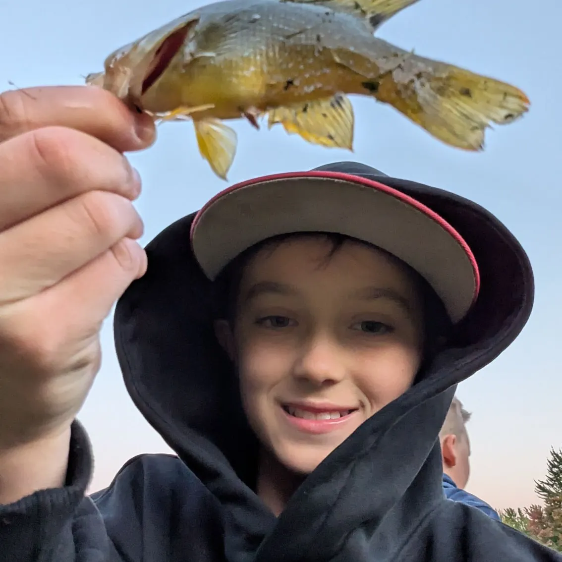 Green sunfish caught on Fishbrain
