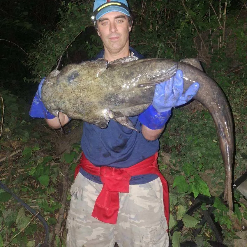 most liked catch image
