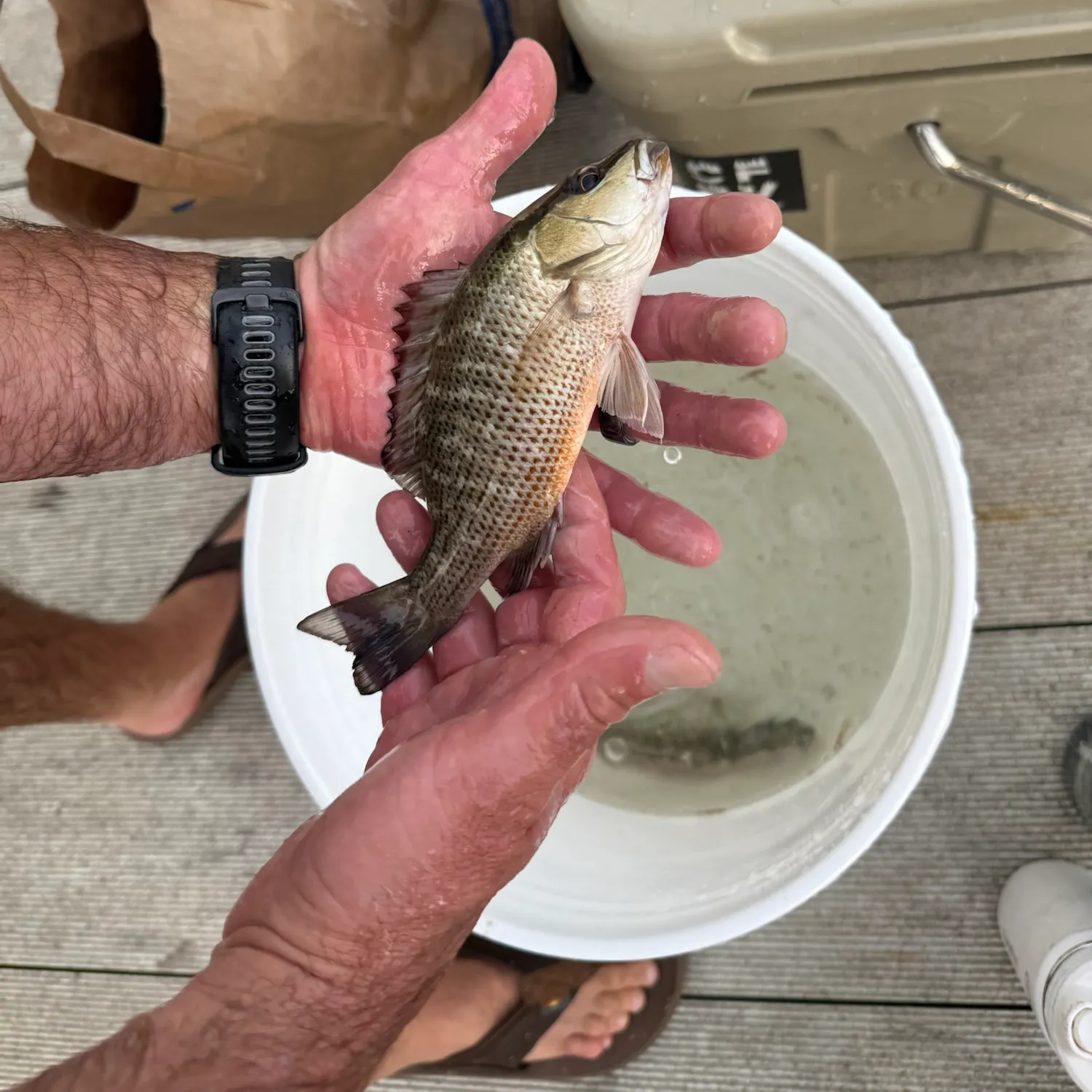 catch