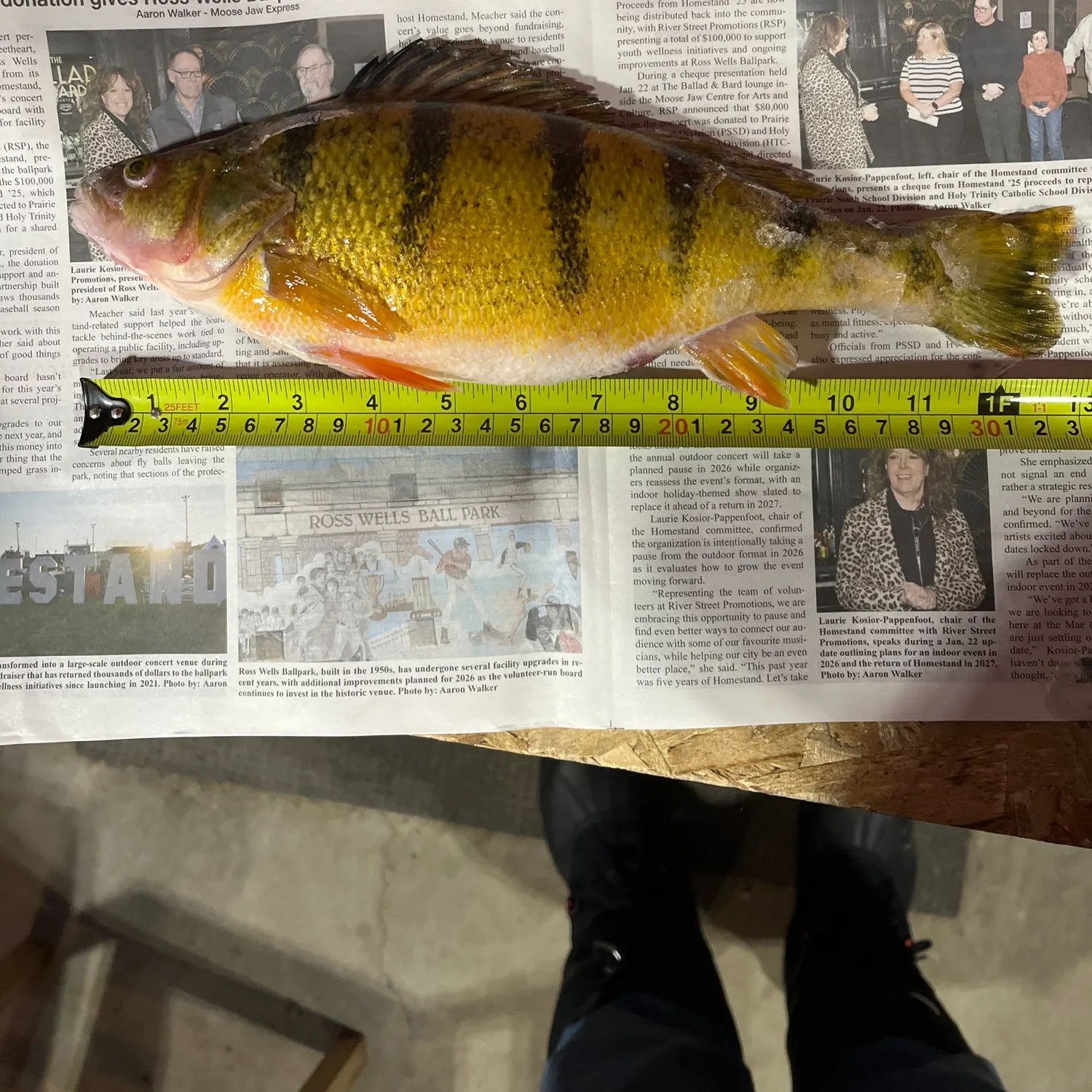 recently logged catches