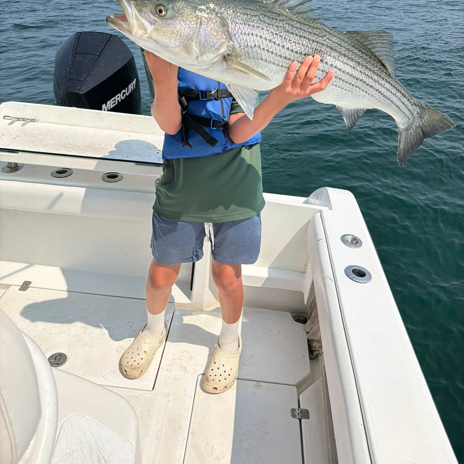 Striped bass caught on Fishbrain