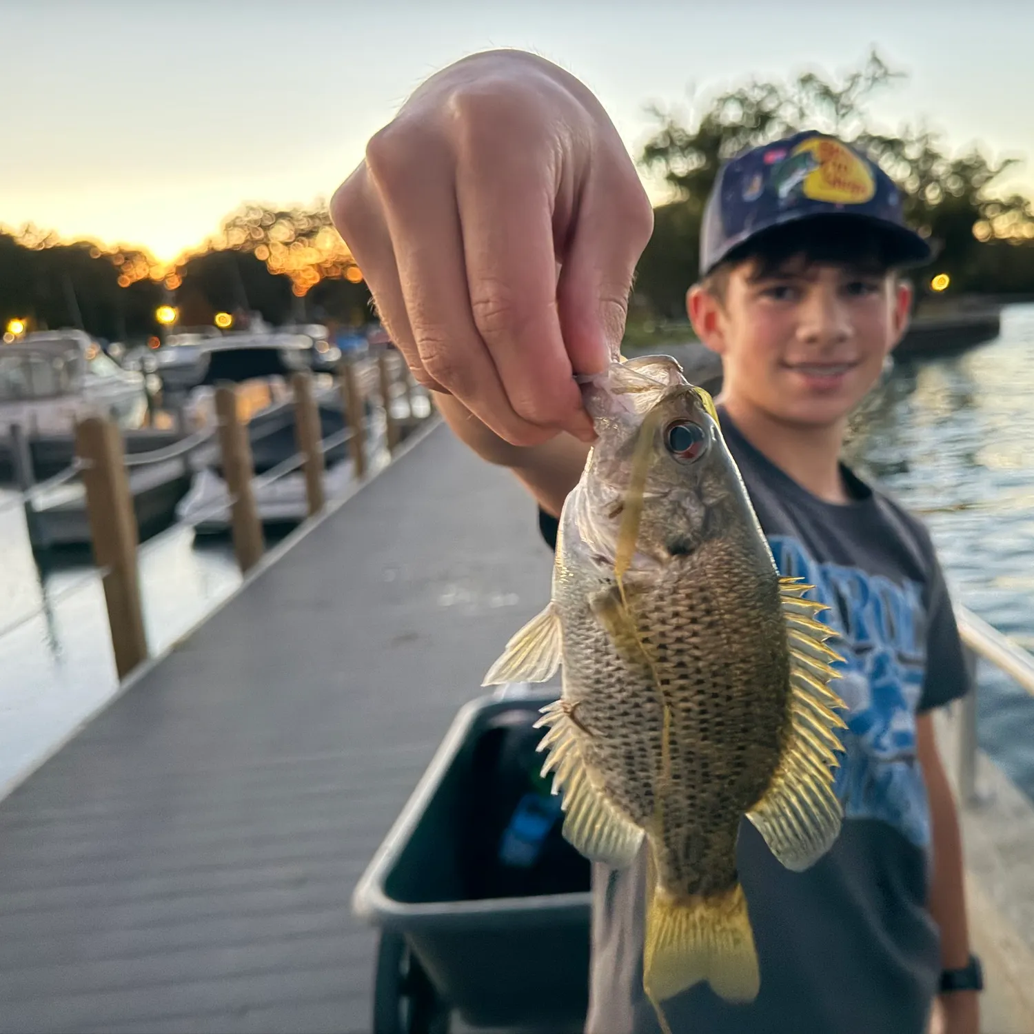 Rock bass caught on Fishbrain