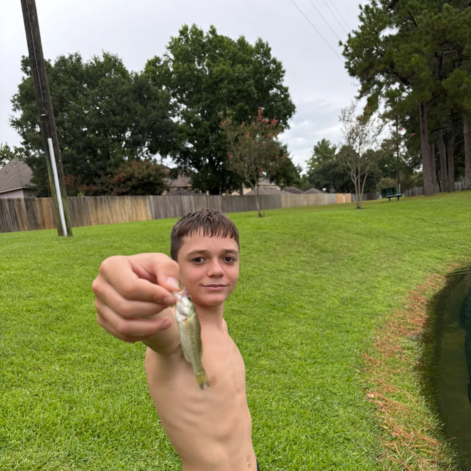 catch